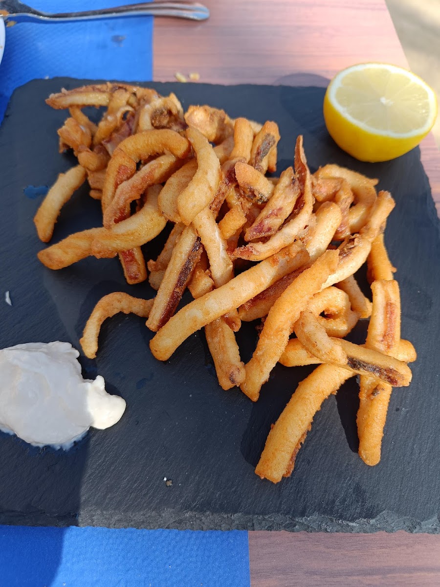 Hostal Villa El Colmenar-10